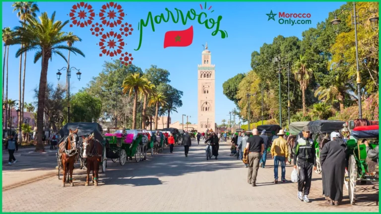 Top Marrakech Hotels for Luxury, Culture & Memorable Stays